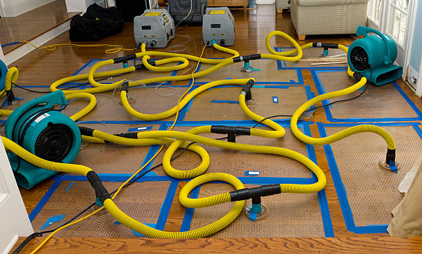 Professional Structural Drying And Dehumidification technician working in Rayland, OH